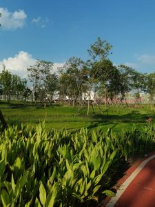 42aeb5aa59e50b5719464095bf4361d6