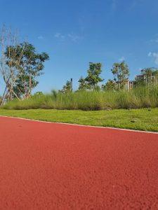 62b2b888474a14bbe3ffa57c9f6988d6