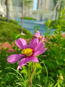 645de35e6ecf47453be7c1abe67478ce